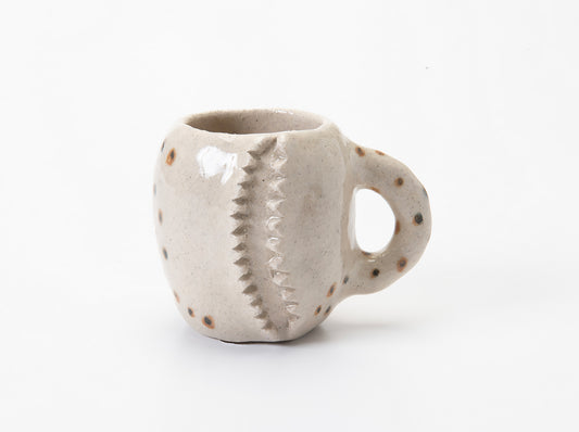 The Coast Mug